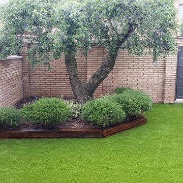 Calidad Royal Grass