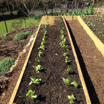 Raised bed vegetable gardens