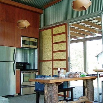 Modern Cabin