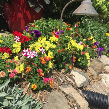 Seasonal Color Displays - bold colors