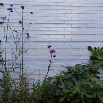 Patio verde moderno