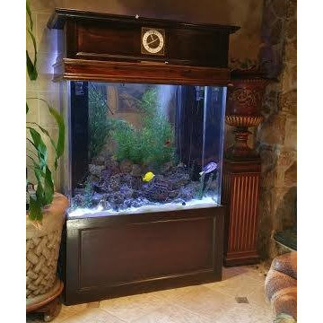 Aquarium for residence