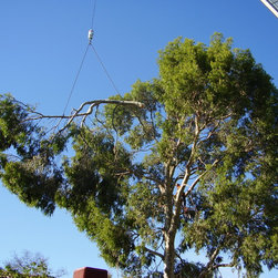 Tree removal project - Products