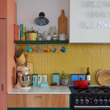 Instagram-Worthy Kitchen Extension in Streatham