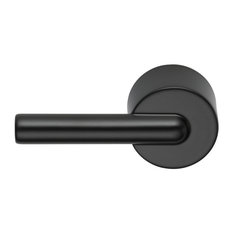 50 Most Popular Toilet Handles And Levers For 2020 Houzz