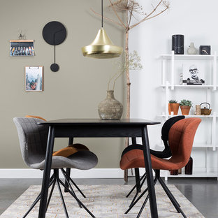 クレルモン・フェランの北欧風 LDKの画像 (マルチカラーの壁、コンクリートの床、グレーの床)