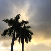 Ugo Shirvanian's photo