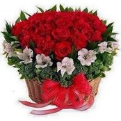 Nihal Sabry's photo