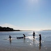 Kellie Cook's photo