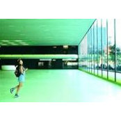 Ali Chen's photo