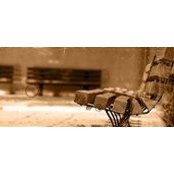 Amal Ebrahim Qさんの写真