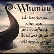 Michelle Gosnell's photo