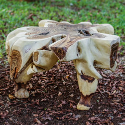 Sono Root Table - Coffee Tables