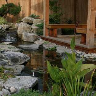 Esempio di un giardino etnico esposto a mezz'ombra di medie dimensioni e dietro casa in estate con fontane