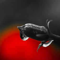 Fine Art Photography - Digital paintings - Products