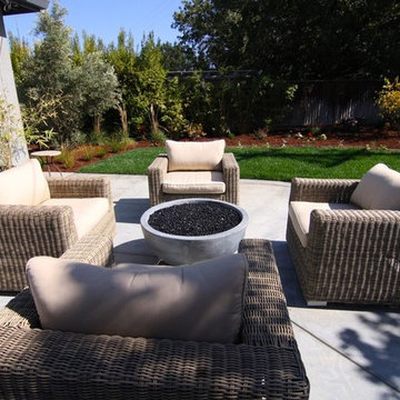 Cupertino Contemporary