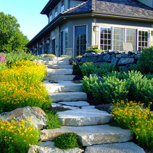 Stone Point Backyard Phase II