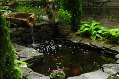 Design ideas for a landscaping in Philadelphia.