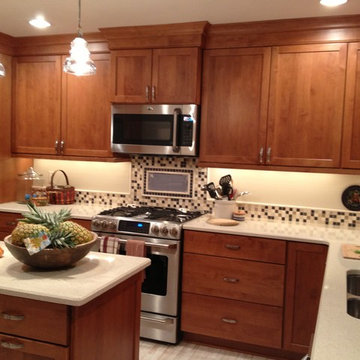 Commerce Twp. Kitchen Remodel