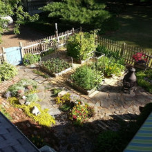 Garden Ideas