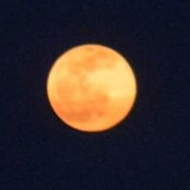 Lisa Tesner's photo