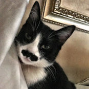Katie Rotunno's photo