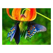 Margaret Mazza's photo