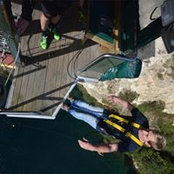 Joel Wilkinson's photo