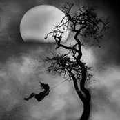 Betty Amatangelo's photo