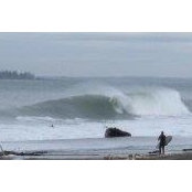 Jesse Freedman's photo