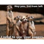 Susan Mackay's photo