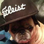 Scotty Davis's photo