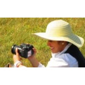 Sarah Aburoayan's photo