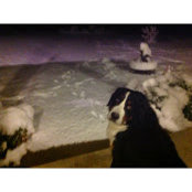 Dan & Celia Cuellar's photo