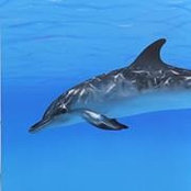 Trevor Howard's photo