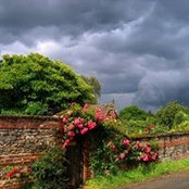 Amanda Wilson Spina's photo