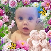 Amanda Kussman-Sandquist's photo