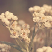 Priscilla Lim's photo