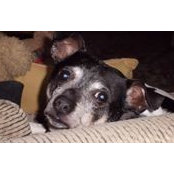 Dean Slone's photo