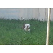 Brian Kenney's photo
