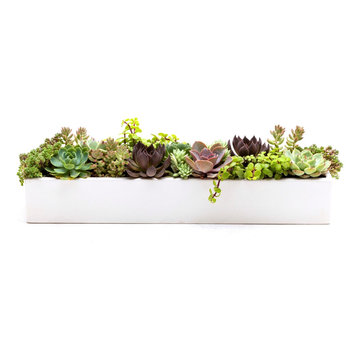 Concrete Planter - 24" Runner