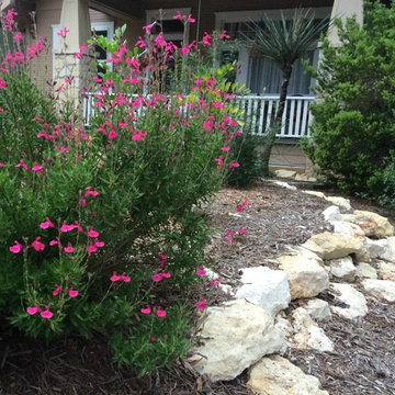 Xeriscape #2