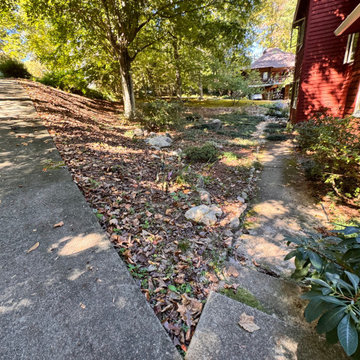 Front Yard Makeover in Full Bloom