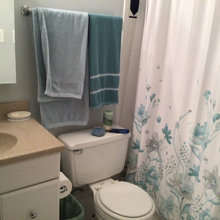 Hall Bath Remodel Before and After (4' 10" x 8")