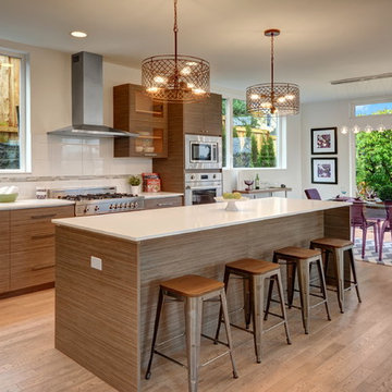 Lake Washington Modern