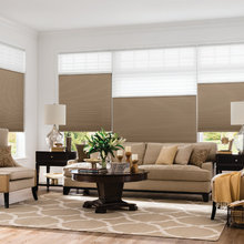 Blinds - Window Treatments