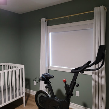 Burlington Roller Shades Delta Cordless and Motorized