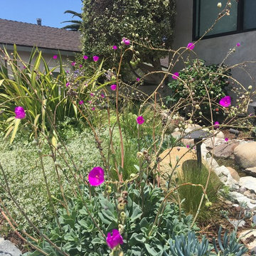 Modern Meadow