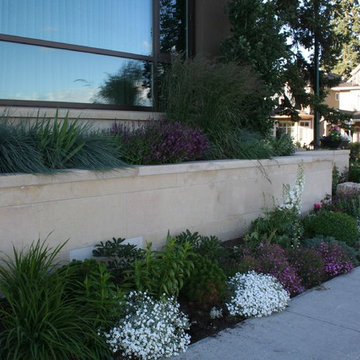 Side Garden & Retaining Walls