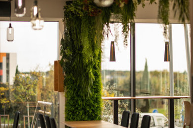 Création d'un restaurant Bar à salade